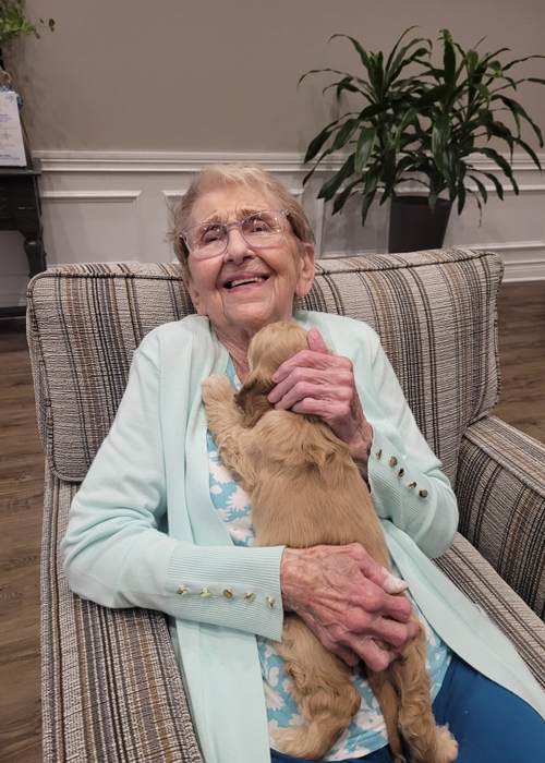 Smiling senior woman sitting in an armchair cuddling a small tan puppy during a pet therapy event at her senior living community.